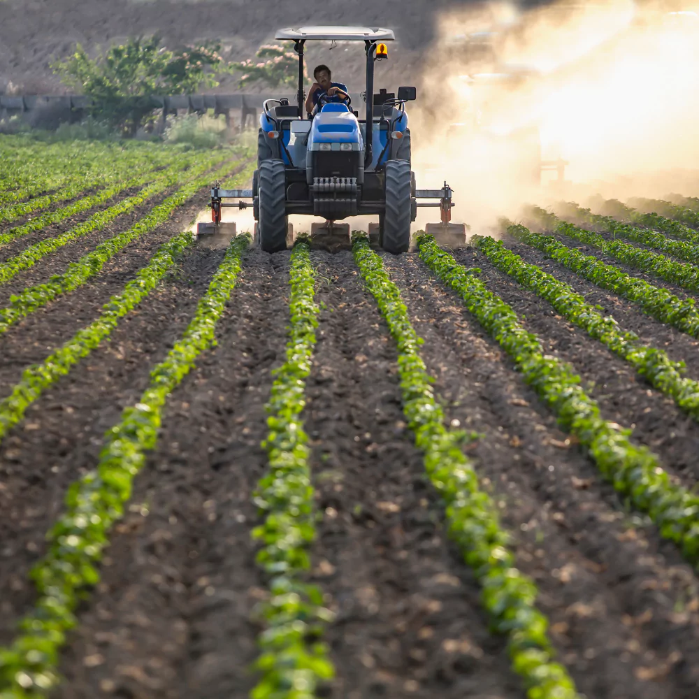 Purchase Agriculture Land